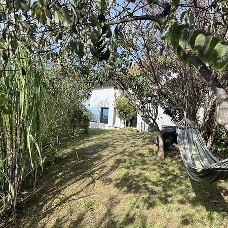 Mountain Retreat - Zembica By Atlantic * Sao Vicente (Madeira)