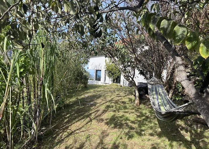 Mountain Retreat - Zembica By Atlantic * São Vicente