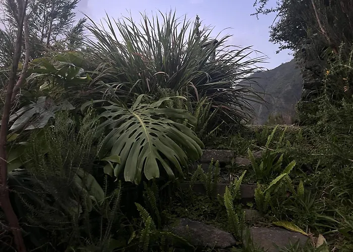 Casa de Férias Mountain Retreat - Zembica By Atlantic